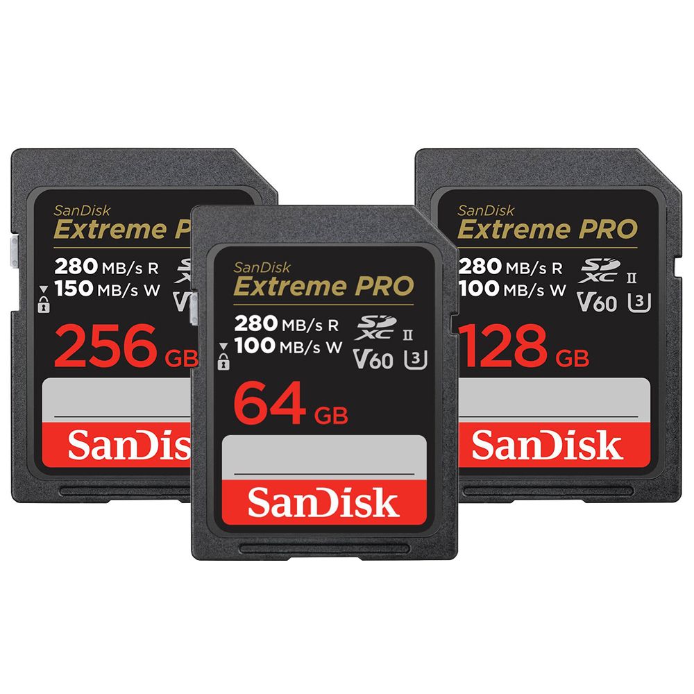 SanDisk EXTREME PRO SDXC SDSDXEP V60 U3 C10 UHS-II - BIGCamera :  ศูนย์รวมกล้องดิจิตอลที่มีความสุขให้เลือกมากที่สุด