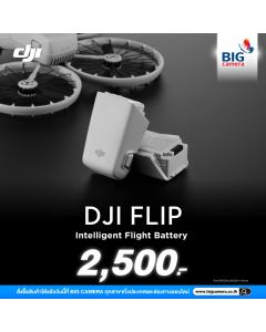 DJI Flip Intelligent Flight Battery