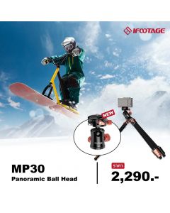 IFOOTAGE MP30 Panoramic Ball Head