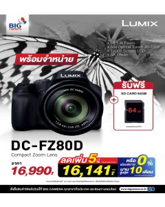 Panasonic Lumix DC FZ80DGA-K