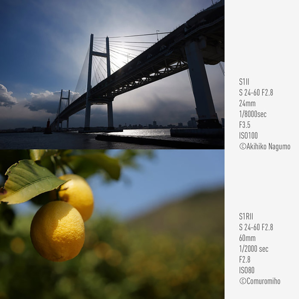 S Series 24-60mm F2.8 L-Mount Lens