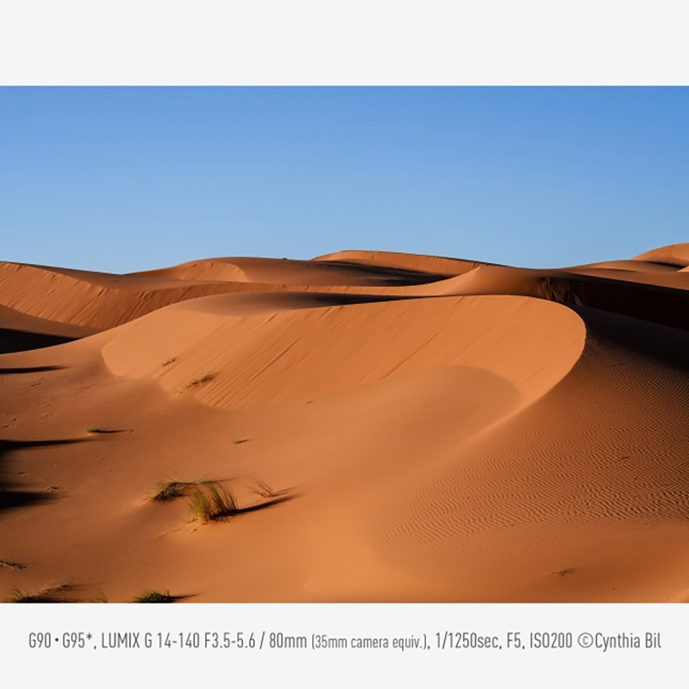 Panasonic Lumix G97